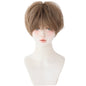 （Simple Packed) K-pop | rose cap heat-resistant wig